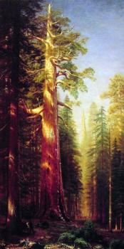 Albert Bierstadt : The Great Trees